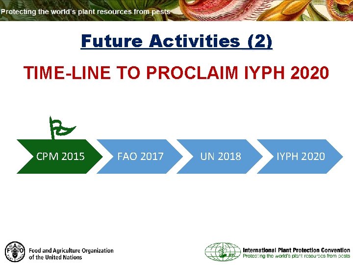 Future Activities (2) TIME-LINE TO PROCLAIM IYPH 2020 CPM 2015 FAO 2017 UN 2018