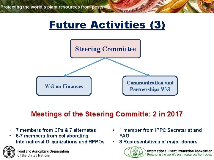 Future Activities (3) Steering Committee Communication and Partnerships WG WG on Finances Meetings of