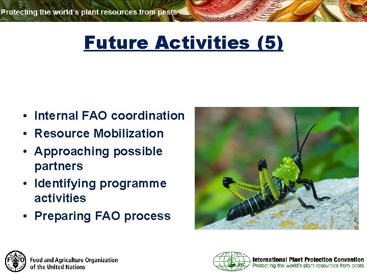 Future Activities (5) • Internal FAO coordination • Resource Mobilization • Approaching possible partners