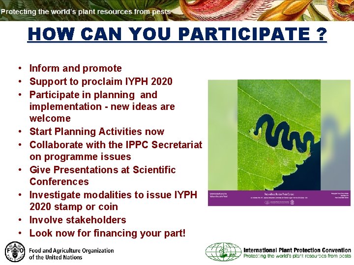 HOW CAN YOU PARTICIPATE ? • Inform and promote • Support to proclaim IYPH