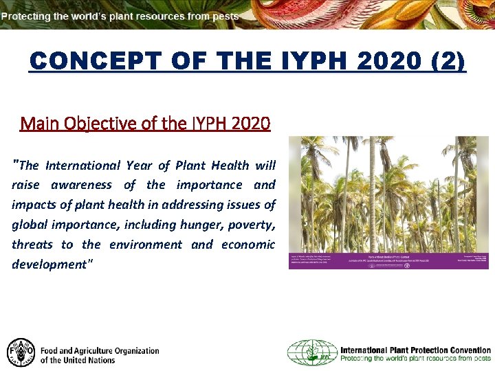 CONCEPT OF THE IYPH 2020 (2) Main Objective of the IYPH 2020 "The International