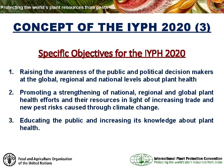 CONCEPT OF THE IYPH 2020 (3) Specific Objectives for the IYPH 2020 1. Raising