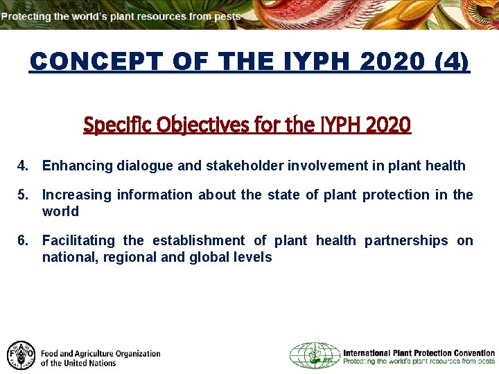 CONCEPT OF THE IYPH 2020 (4) Specific Objectives for the IYPH 2020 4. Enhancing