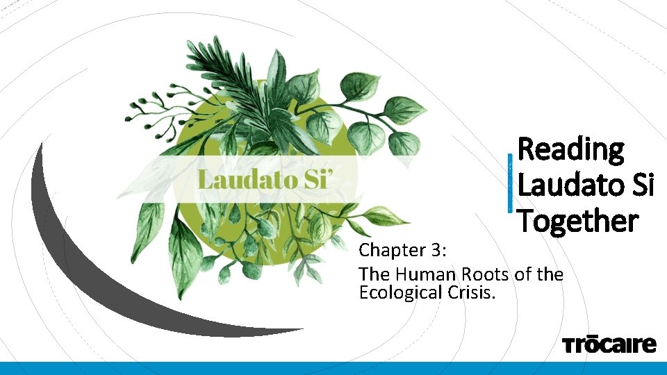 Reading Laudato Si Together Chapter 3 The Human