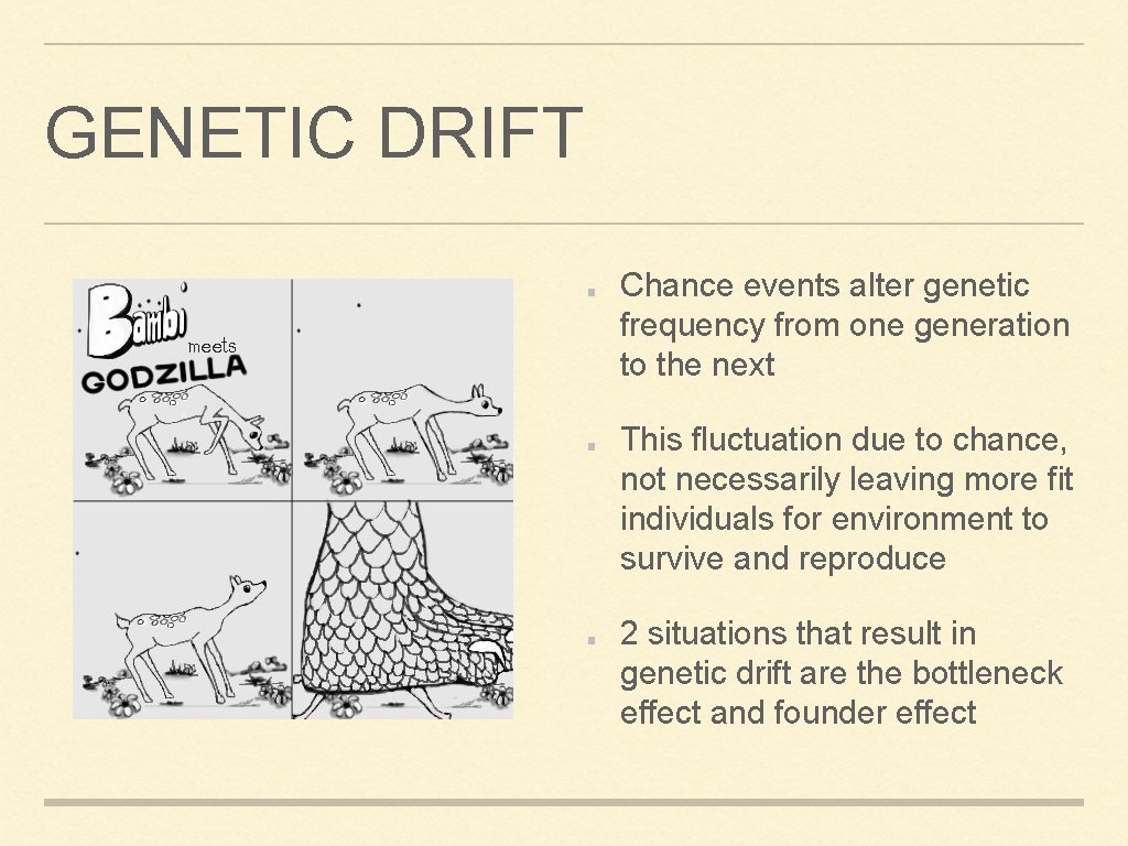 GENETIC DRIFT Chance events alter genetic frequency from one generation to the next This