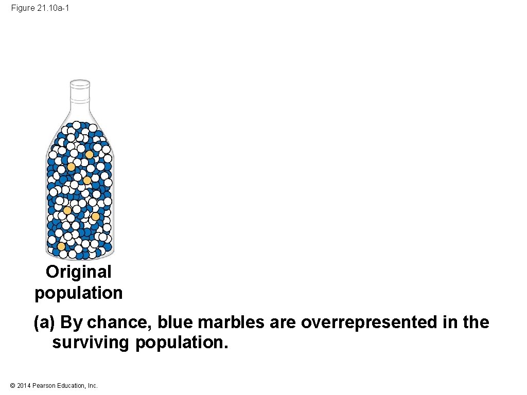 Figure 21. 10 a-1 Original population (a) By chance, blue marbles are overrepresented in