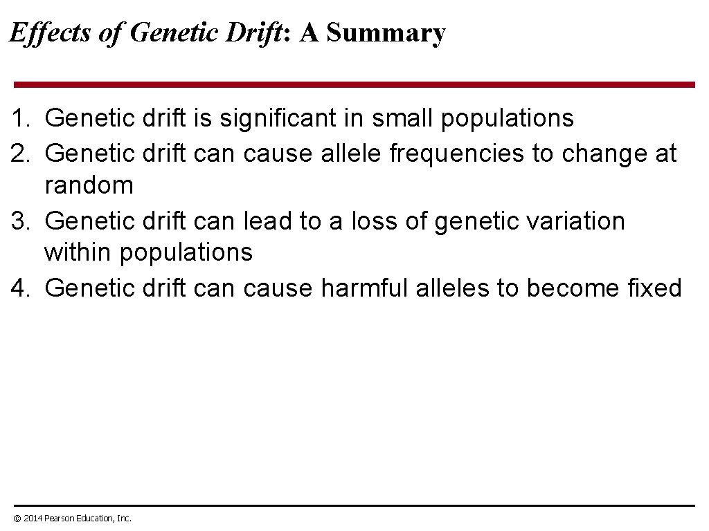 Effects of Genetic Drift: A Summary 1. Genetic drift is significant in small populations