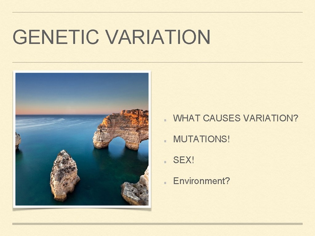 GENETIC VARIATION WHAT CAUSES VARIATION? MUTATIONS! SEX! Environment? 