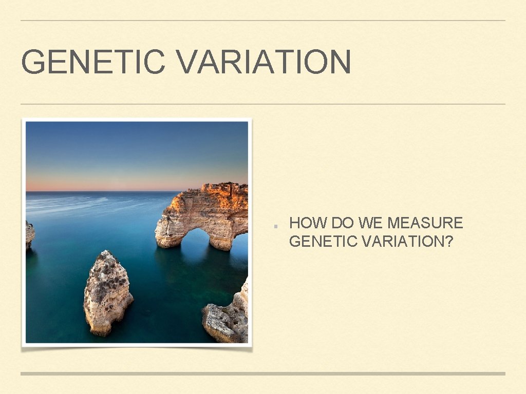 GENETIC VARIATION HOW DO WE MEASURE GENETIC VARIATION? 