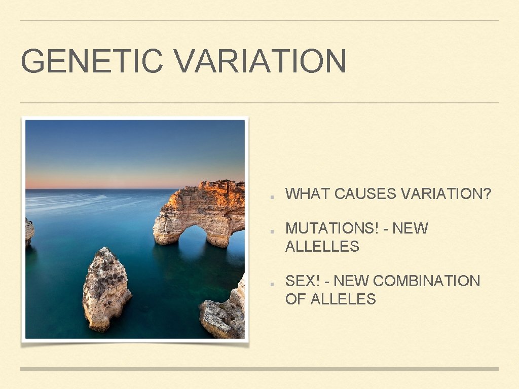 GENETIC VARIATION WHAT CAUSES VARIATION? MUTATIONS! - NEW ALLELLES SEX! - NEW COMBINATION OF