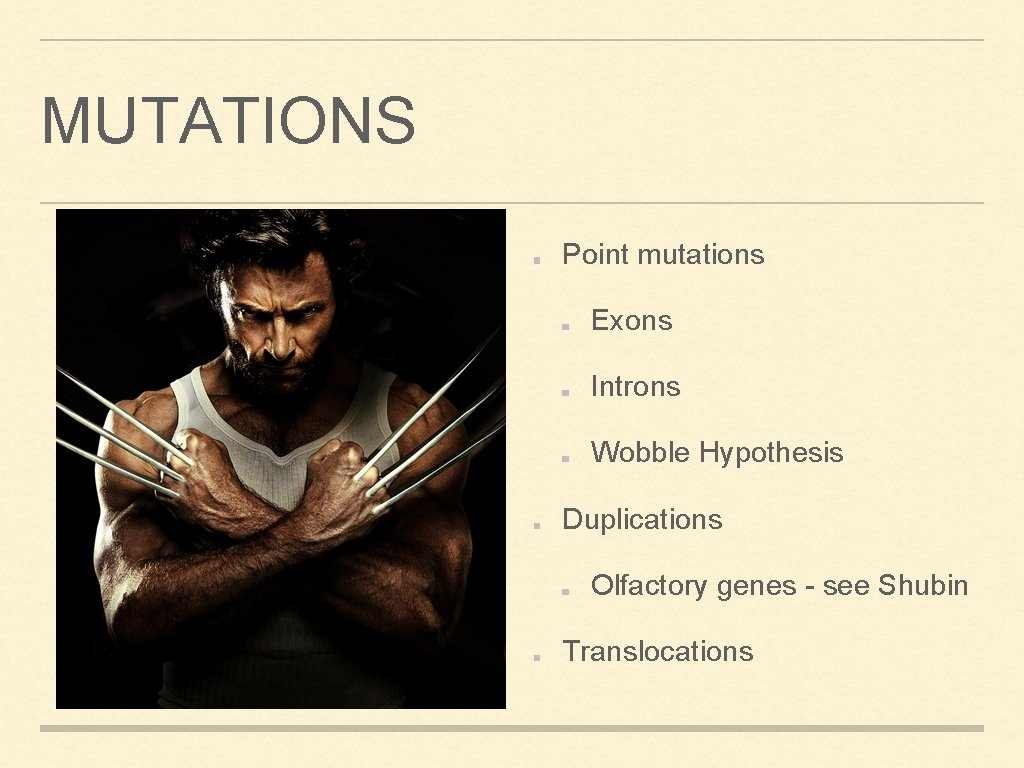 MUTATIONS Point mutations Exons Introns Wobble Hypothesis Duplications Olfactory genes - see Shubin Translocations