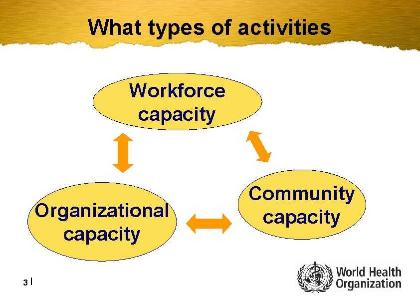 What types of activities Workforce capacity Organizational capacity 3| Community capacity 