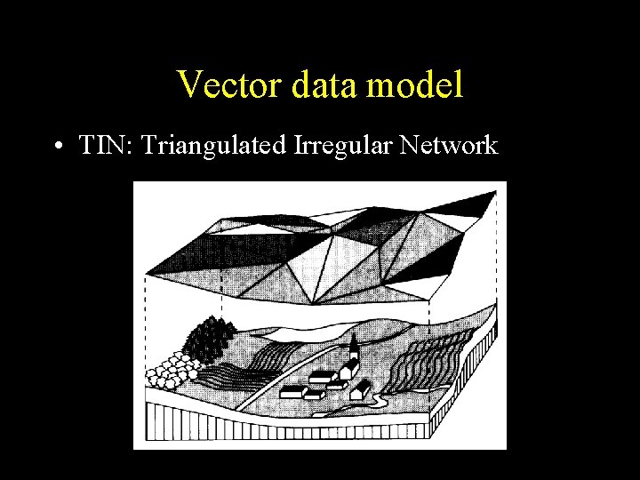 Vector data model • TIN: Triangulated Irregular Network 