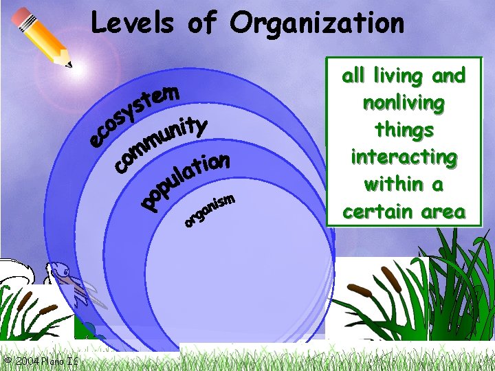 Levels of Organization one individual all organisms living and allinteracting all living of nonliving