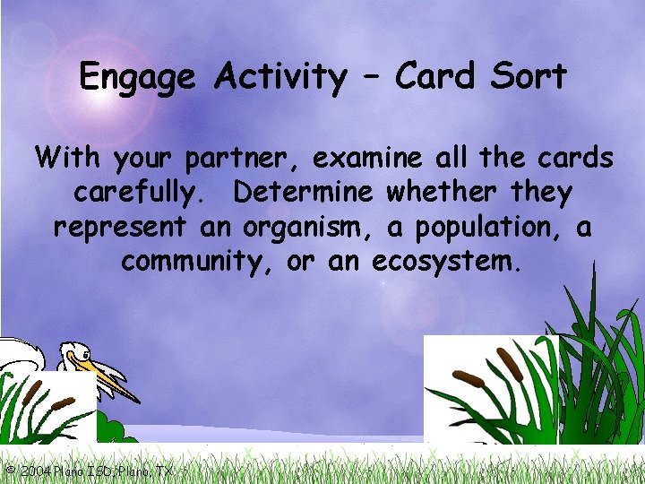 Engage Activity – Card Sort With your partner, examine all the cards carefully. Determine