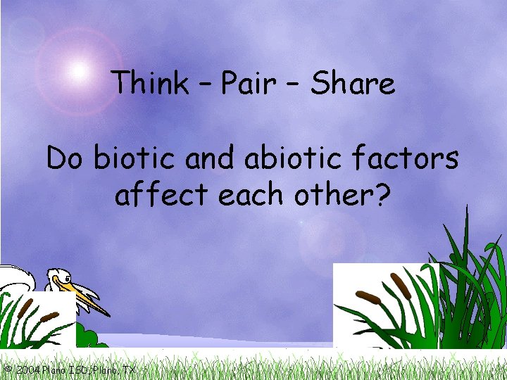 Think – Pair – Share Do biotic and abiotic factors affect each other? ©