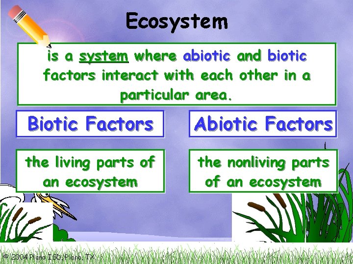 Ecosystem is a system where abiotic and biotic factors interact with each other in