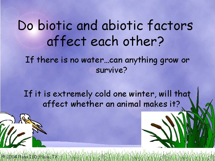 Do biotic and abiotic factors affect each other? If there is no water…can anything