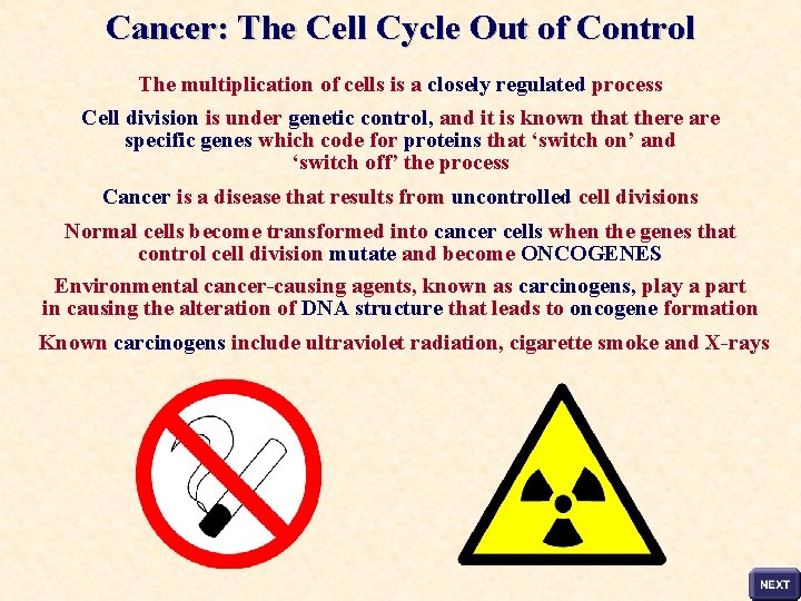 Cancer: The Cell Cycle Out of Control The multiplication of cells is a closely