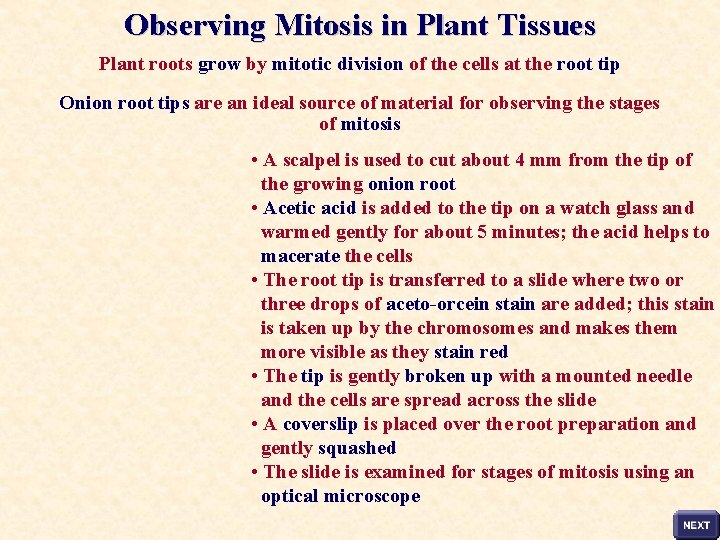 Observing Mitosis in Plant Tissues Plant roots grow by mitotic division of the cells