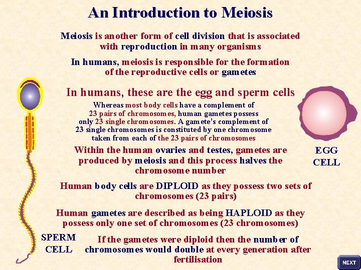 An Introduction to Meiosis is another form of cell division that is associated with