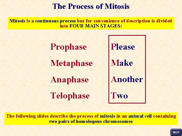The Process of Mitosis is a continuous process but for convenience of description is