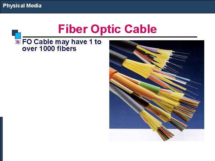 Physical Media Fiber Optic Cable FO Cable may have 1 to over 1000 fibers