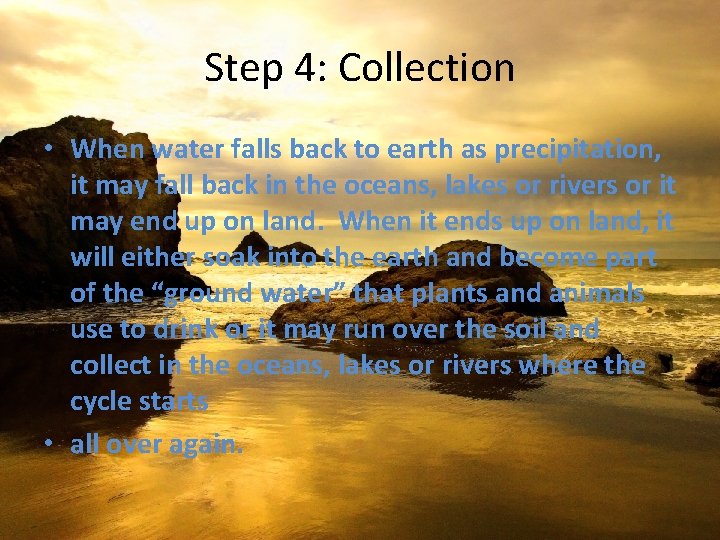 Step 4: Collection • When water falls back to earth as precipitation, it may