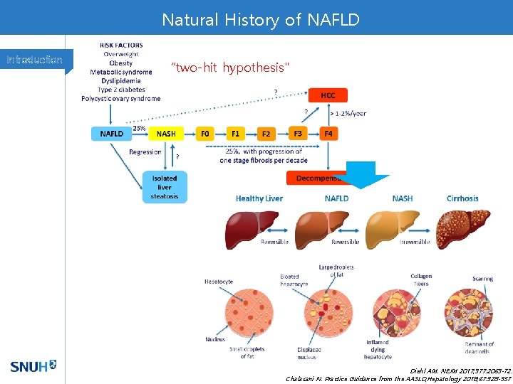 Natural History of NAFLD Introduction “two-hit hypothesis" Diehl AM. NEJM 2017; 377: 2063 -72.
