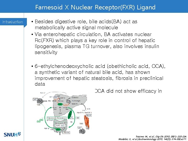 Farnesoid X Nuclear Receptor(FXR) Ligand Introduction • Besides digestive role, bile acids(BA) act as