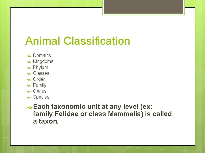 Animal Classification Domains Kingdoms Phylum Classes Order Family Genus Species Each taxonomic unit at