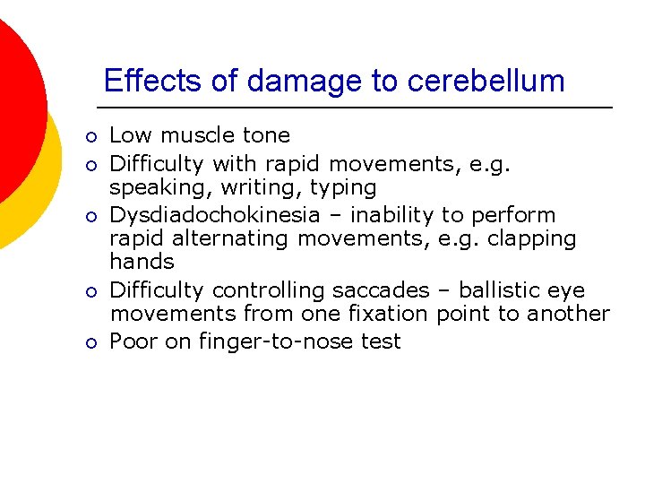 Effects of damage to cerebellum ¡ ¡ ¡ Low muscle tone Difficulty with rapid