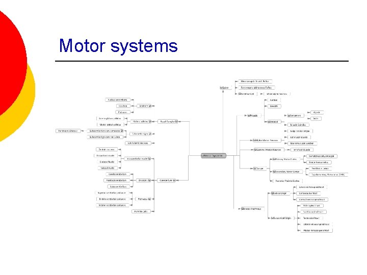 Motor systems 