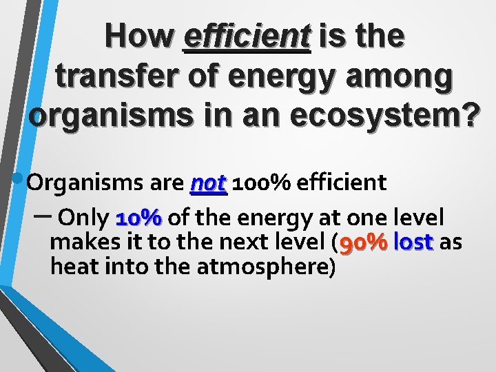 How efficient is the transfer of energy among organisms in an ecosystem? • Organisms