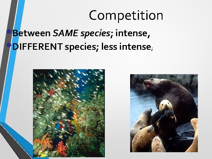 Competition • Between SAME species; intense, • DIFFERENT species; less intense ; 