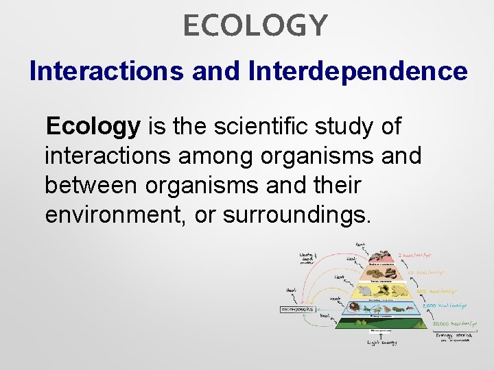 ECOLOGY Interactions and Interdependence Ecology is the scientific study of interactions among organisms and