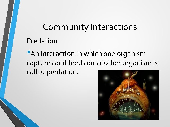 Community Interactions Predation • An interaction in which one organism captures and feeds on