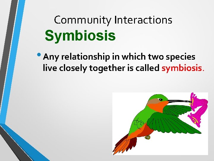 Community Interactions Symbiosis • Any relationship in which two species live closely together is
