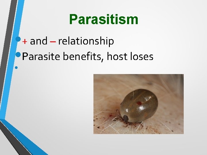 Parasitism • + and – relationship • Parasite benefits, host loses • 