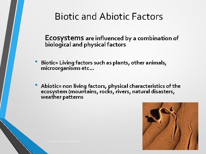 Biotic and Abiotic Factors Ecosystems are influenced by a combination of biological and physical
