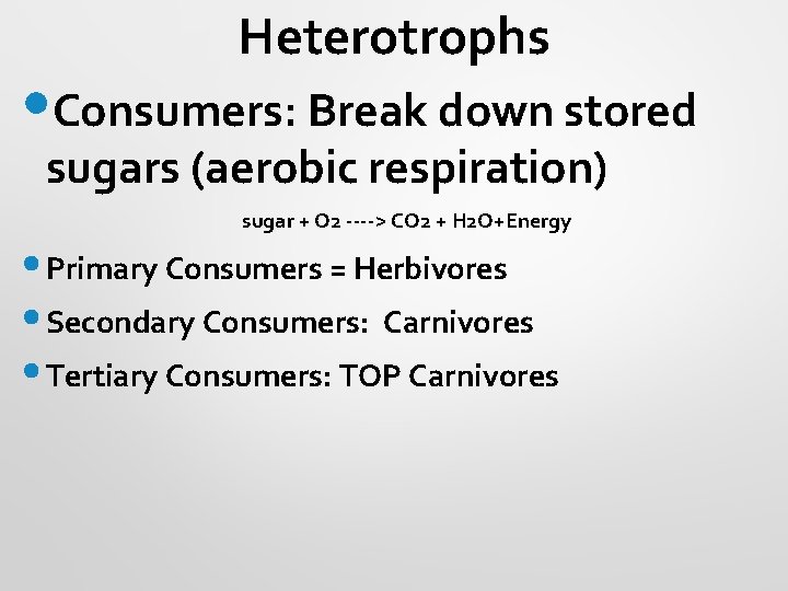 Heterotrophs • Consumers: Break down stored sugars (aerobic respiration) sugar + O 2 ---->