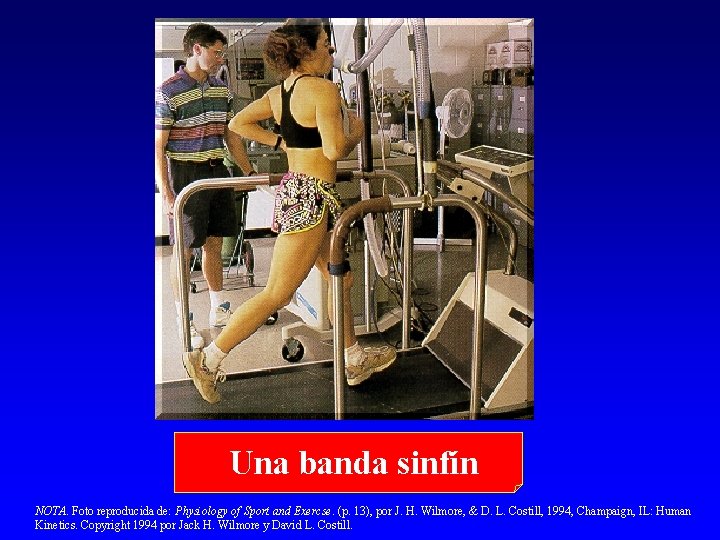 Una banda sinfín NOTA. Foto reproducida de: Physiology of Sport and Exercse. (p. 13),