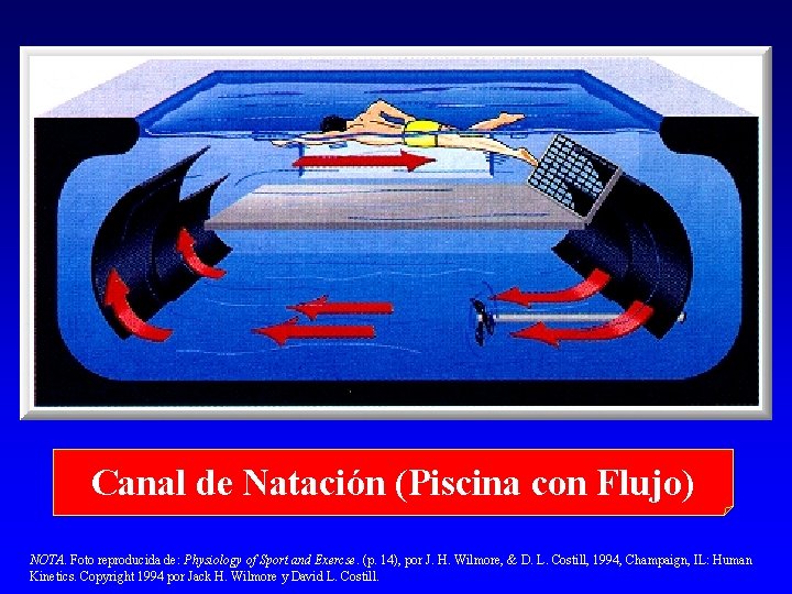 Canal de Natación (Piscina con Flujo) NOTA. Foto reproducida de: Physiology of Sport and