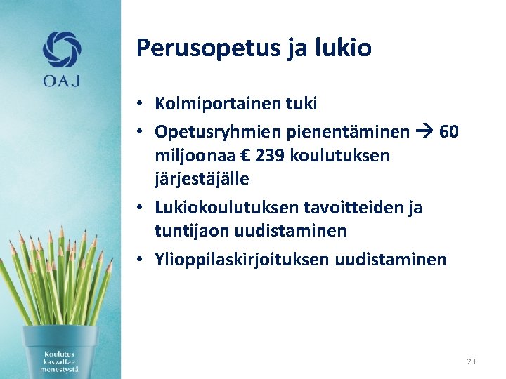 Perusopetus ja lukio • Kolmiportainen tuki • Opetusryhmien pienentäminen 60 miljoonaa € 239 koulutuksen