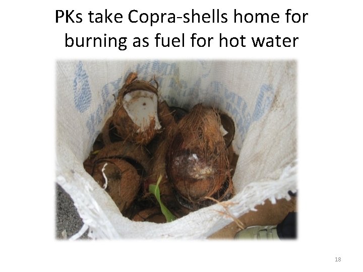 PKs take Copra-shells home for burning as fuel for hot water 18 