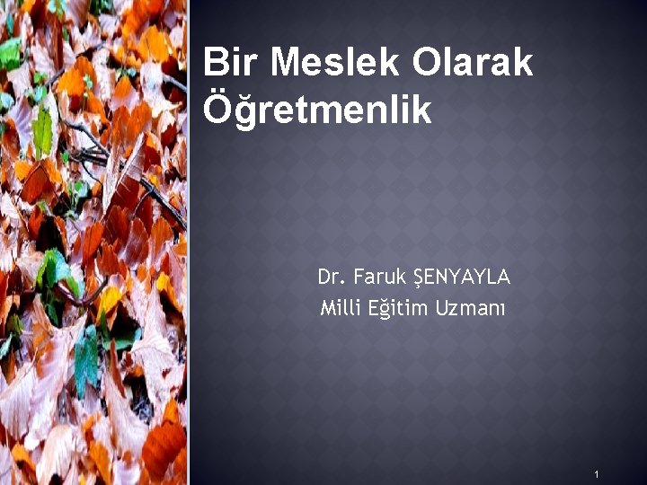 Bir Meslek Olarak Öğretmenlik Dr. Faruk ŞENYAYLA Milli Eğitim Uzmanı 1 