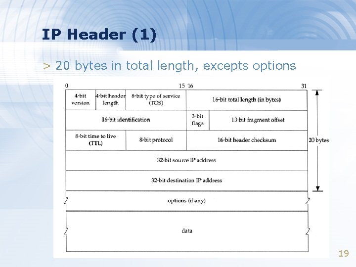 IP Header (1) > 20 bytes in total length, excepts options 19 