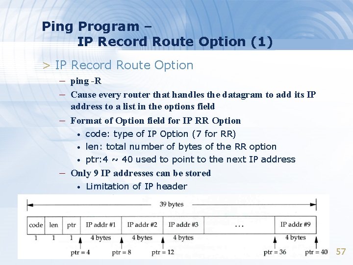 Ping Program – IP Record Route Option (1) > IP Record Route Option –