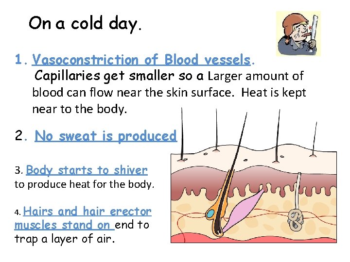 TODAYS Lesson By the end of the lesson