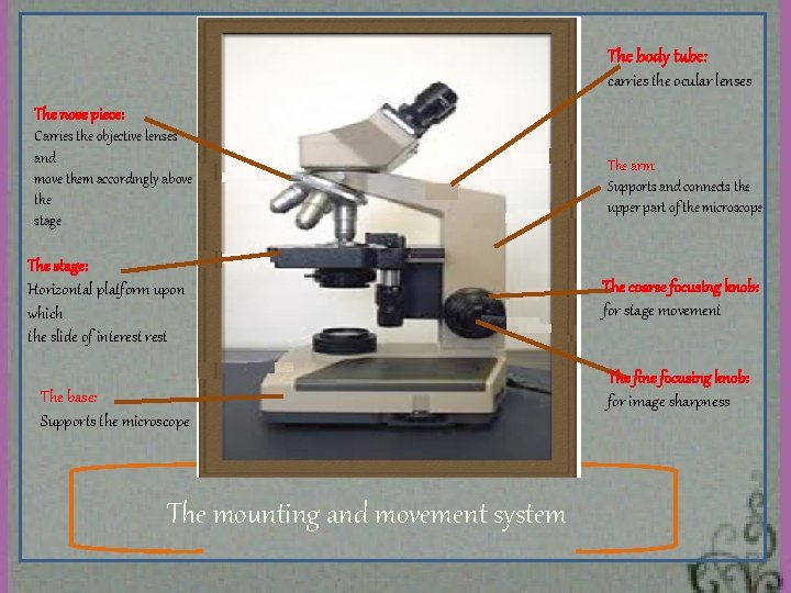 Microscopy Supervised by Dr Sherifa Prepared by Reem